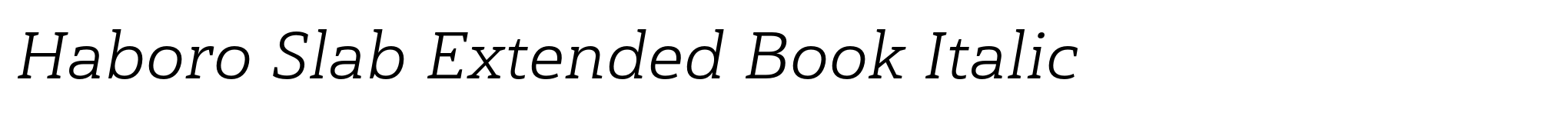 Haboro Slab Extended Book Italic image